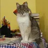 Отзыв от Алевтина Крюкова